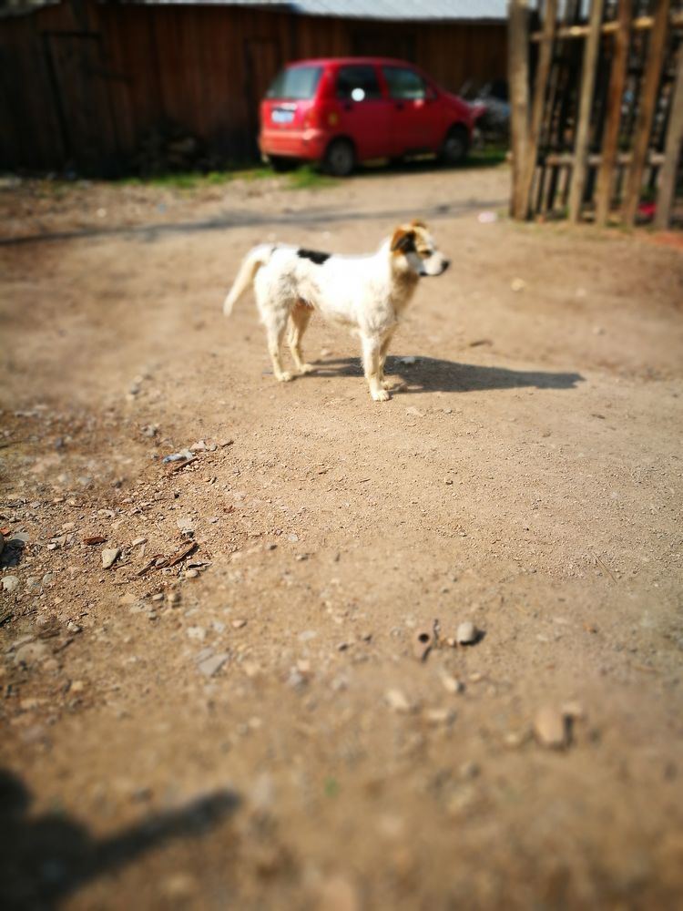 记忆深处的呼伦贝尔,记录呼伦贝尔美好时光