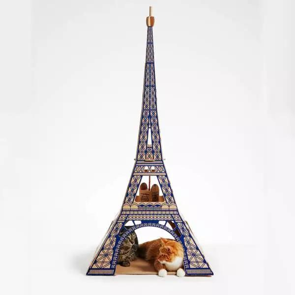 有一种快速让你的猫住进白宫的方法