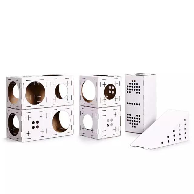 有一种快速让你的猫住进白宫的方法