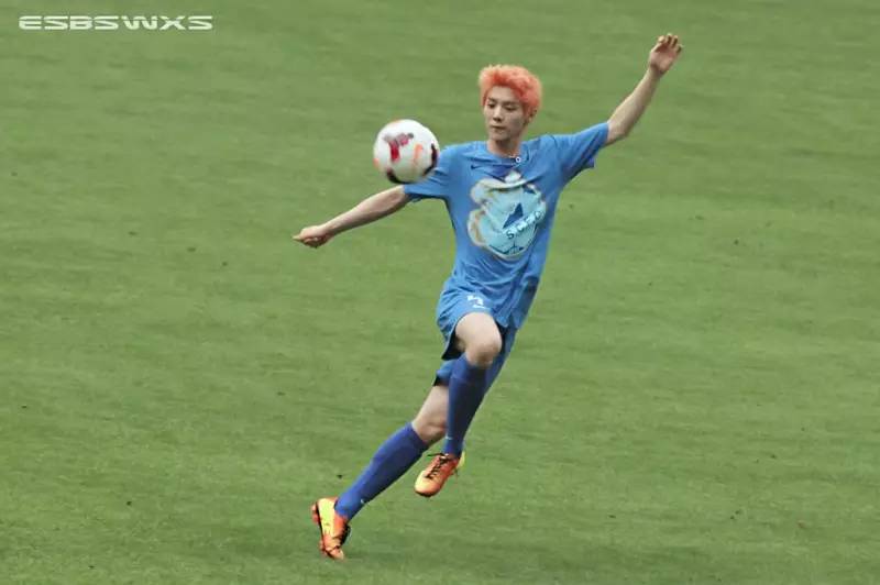 欧洲杯四强明星球员,欧洲杯新一代明星有哪些