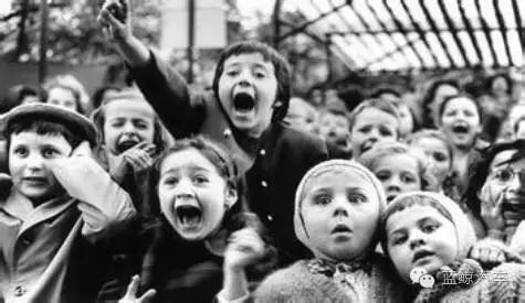 鲸游攻略,鲸鲨攻略