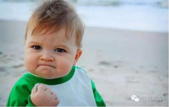 鲸游攻略,鲸鲨攻略