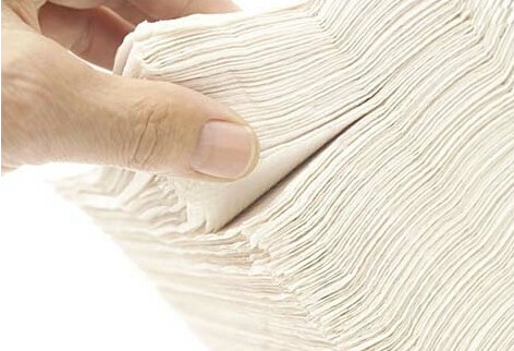 菊花十大禁忌,菊花开败以后怎么养