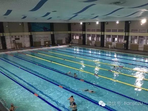 天津100平米恒温游泳池,天津亲子游泳馆推荐