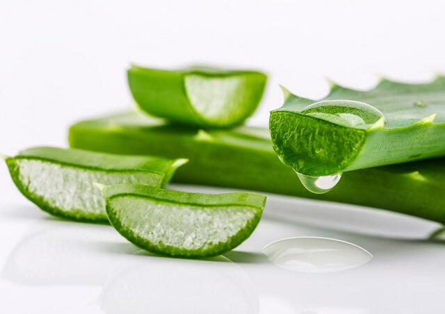 库拉索芦荟养殖方法,芦荟的养殖方法和关注事项