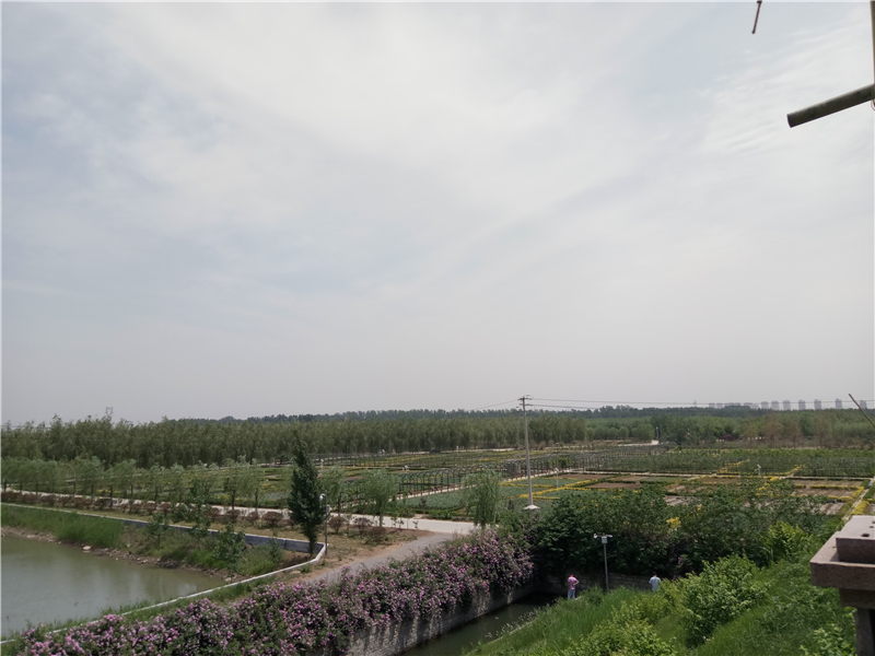 <html>
<head><title>502BadGateway</title></head>
<body>
<center><h1>502BadGateway</h1></center>
<hr><center>nginx</center>
</body>
</html>
<!--apaddingtodisableMSIEandChromefriendlyerrorpage-->
<!--apaddingtodisableMSIEandChromefriendlyerrorpage-->
<!--apaddingtodisableMSIEandChromefriendlyerrorpage-->
<!--apaddingtodisableMSIEandChromefriendlyerrorpage-->
<!--apaddingtodisableMSIEandChromefriendlyerrorpage-->
<!--apaddingtodisableMSIEandChromefriendlyerrorpage-->
