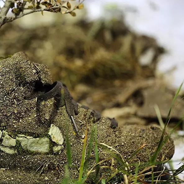 球鞋里面的圈子,鞋里面的世界