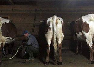 可能对癌症有治疗效果的东西,像治感冒一样治愈癌症