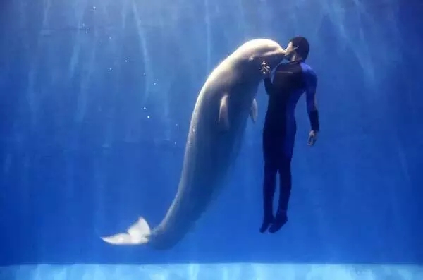 大连这几个富有情调的地方，我好想与你牵手走过