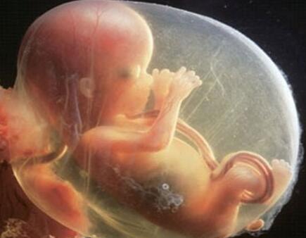 孕28周脐带绕颈一周怎么处理,28周的胎儿脐带绕颈一周怎么办