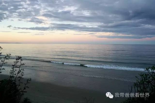 新西兰摩拉基大圆石的形成原因,新西兰圆石图片