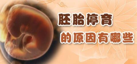 在家怎么知道胎儿是否停止发育,腹中胎儿停止发育怎么安慰