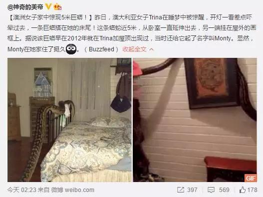 别人眼中的自己国外实验,别人眼中我的生活vs真实我的生活