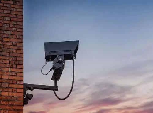 农业调转启示录（三）｜安全，给他健康，给你财富