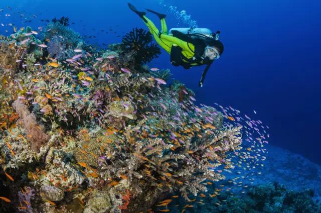 有生之年一定要去一次泰国,有生之年一定要去一次的景区