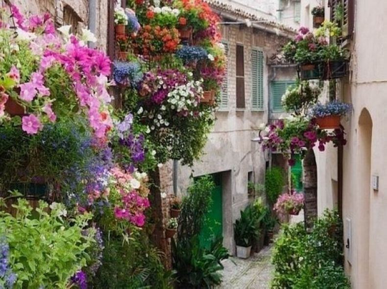 小镇艺术|印象派系的吉维尼，莫奈的“睡莲”花园