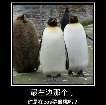 杨幂c罗,原来c罗才是最终赢家