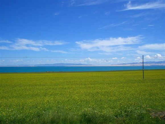 我是远洋渔民，爱钓鱼，更爱周游世界