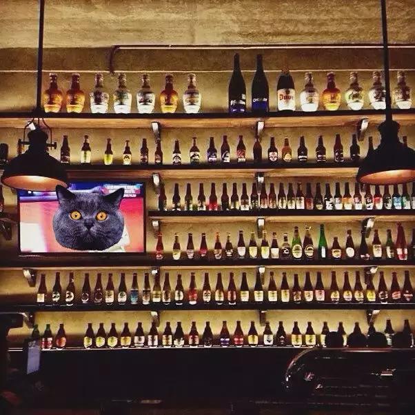 武汉18号酒馆欧洲杯看球好去处,欧洲杯看球酒吧上海