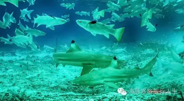 原来星球上还有这样的地方——哆哆的自然地理课！