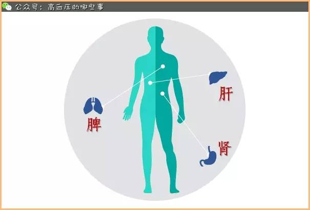 中医对高血压的认识与举例说明