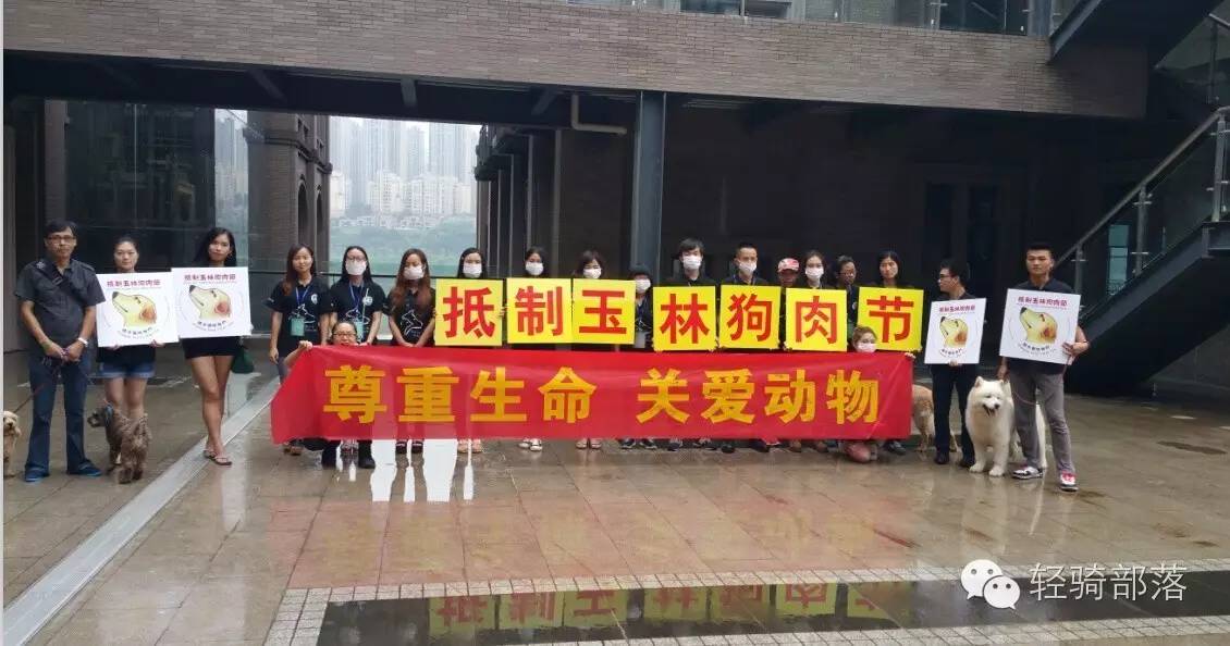 狗肉节引发风波全集,狗肉节引发的风波完整版广东卫视