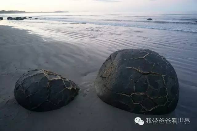 新西兰摩拉基大圆石的形成原因,新西兰圆石图片