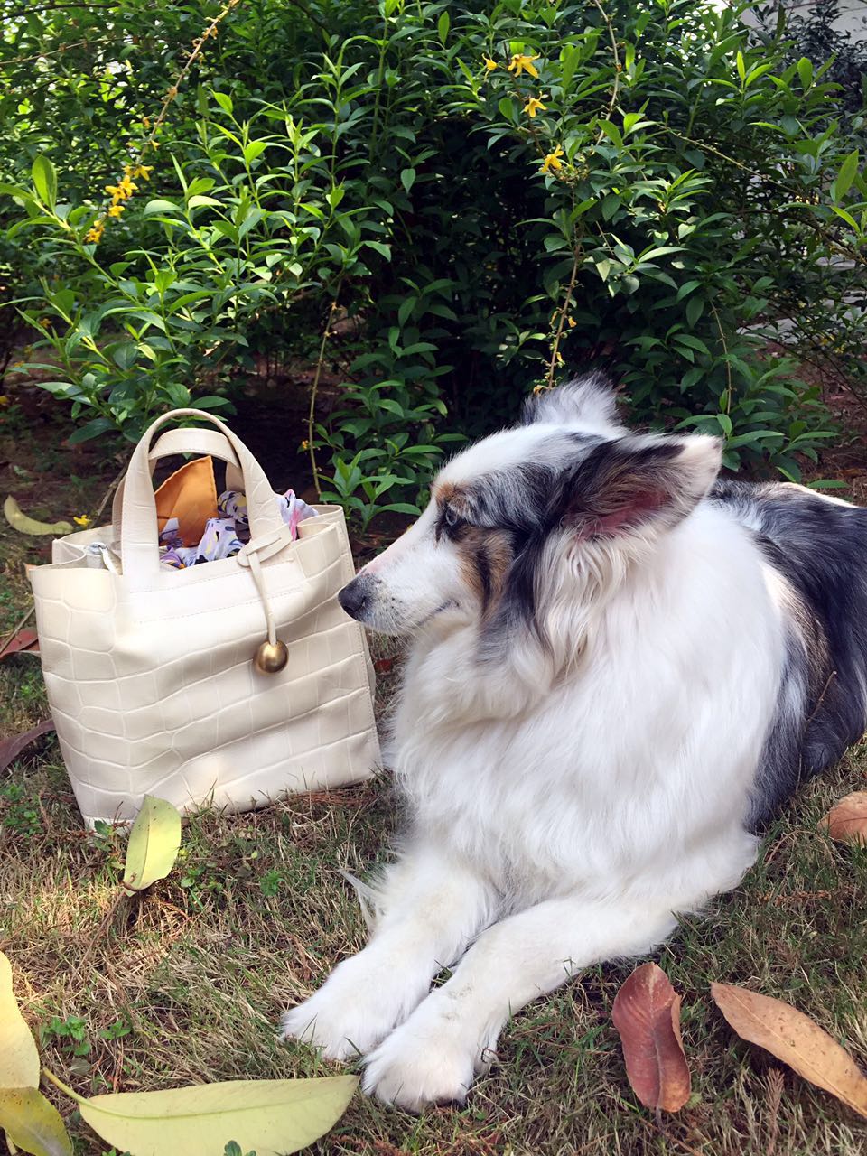 开包记｜一包一世界，开启一念间（上篇）