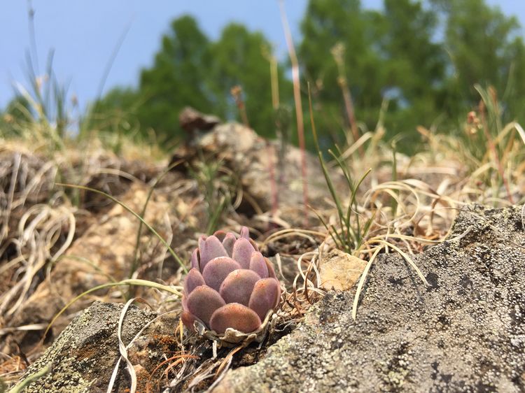 记忆深处的呼伦贝尔,记录呼伦贝尔美好时光