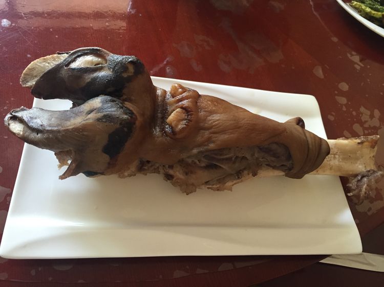 记忆深处的呼伦贝尔,记录呼伦贝尔美好时光