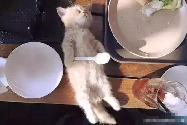 杨幂c罗,原来c罗才是最终赢家