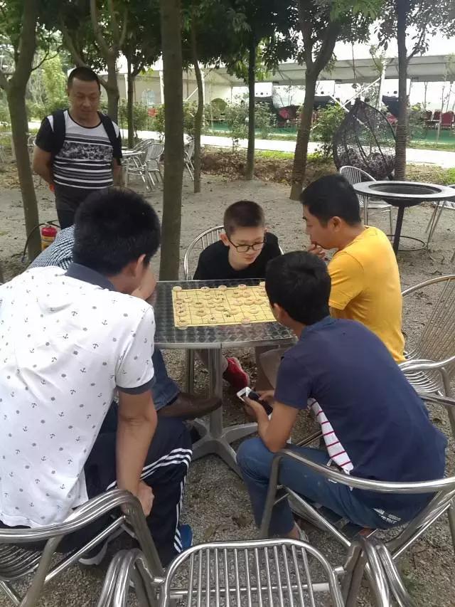 迎接父亲节：紫溪半岛的2000株紫薇花竞相绽放！限时免费欣赏