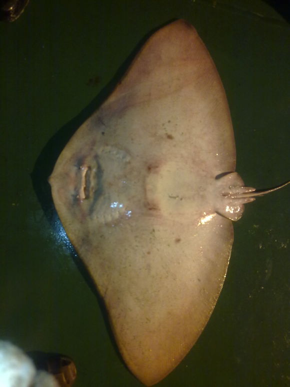 我是远洋渔民，爱钓鱼，更爱周游世界