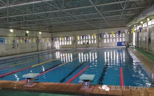 天津100平米恒温游泳池,天津亲子游泳馆推荐
