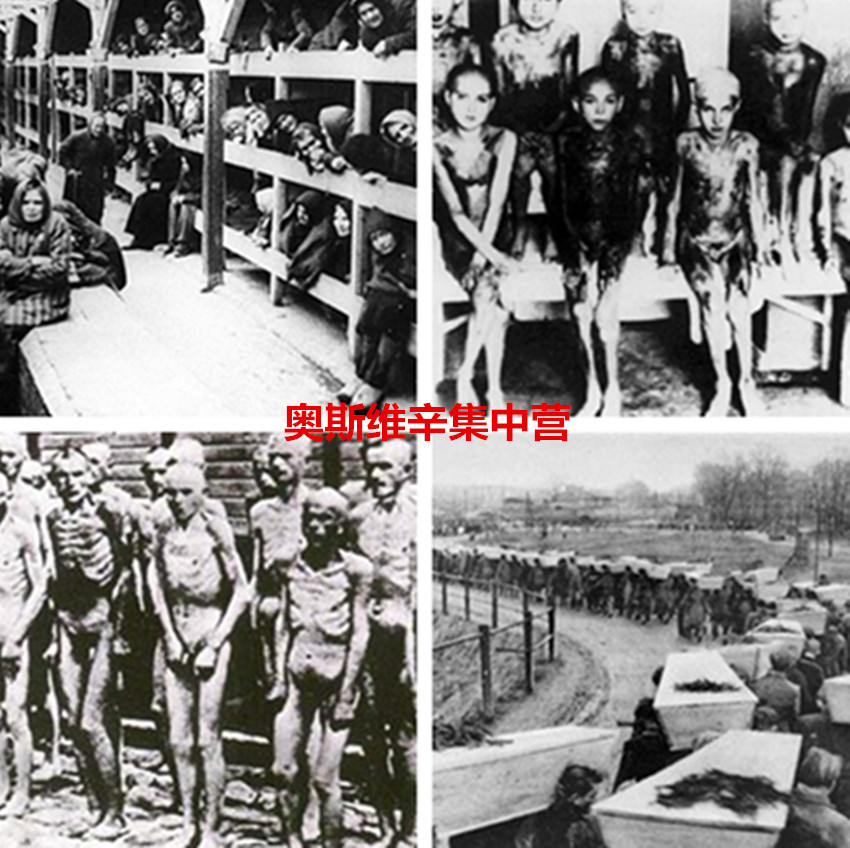 德国纳粹二战期间杀害了多少人,德国二战纳粹十大杀人魔