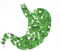 为什么总吃不胖有什么办法,为什么你吃不胖