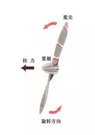 鎰忓ぇ鍒╀簩鎴樻椂鐨勫憜钀屽皬椋炴満,鍛嗚悓鐨勫皬椋炴満