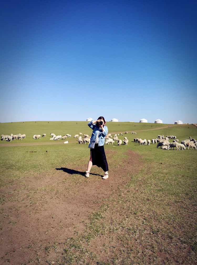 记忆深处的呼伦贝尔,记录呼伦贝尔美好时光
