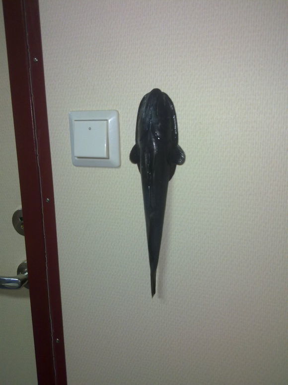 我是远洋渔民，爱钓鱼，更爱周游世界