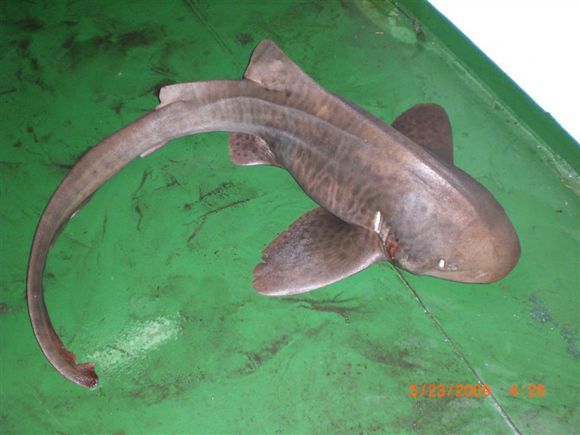 我是远洋渔民，爱钓鱼，更爱周游世界