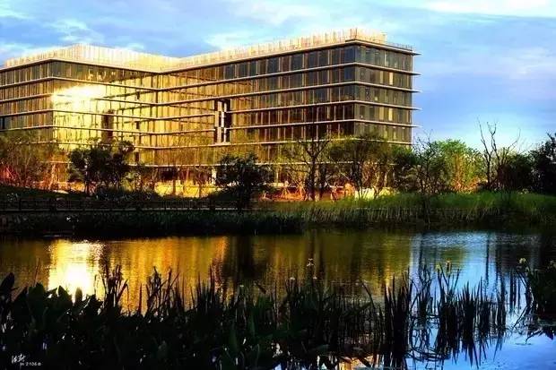 求职者对阿里巴巴发展有什么展望,求职者点评阿里巴巴