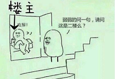 菊花十大禁忌,菊花开败以后怎么养