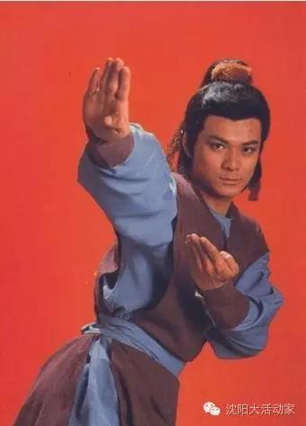 那些年我们追过的香港女星,那些年我们追过的明星大陆版