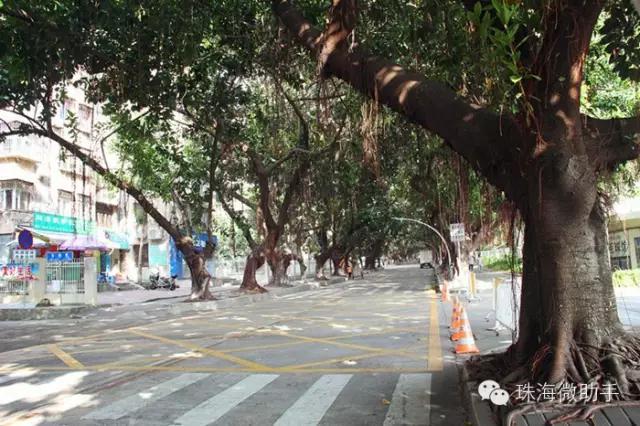 珠海最值得一去的特色街，我只去过5个，你呢？