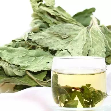 炎炎夏日应该喝什么养生茶,夏季喝什么养生保健茶