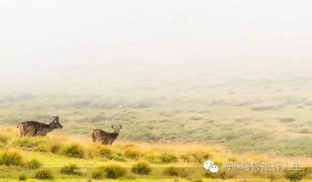 原来星球上还有这样的地方——哆哆的自然地理课！