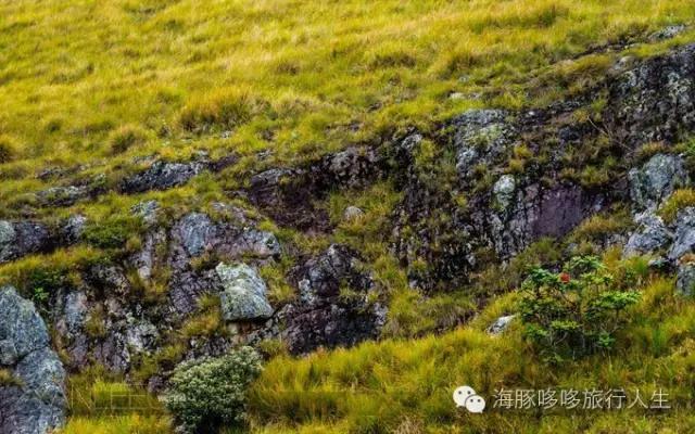 原来星球上还有这样的地方——哆哆的自然地理课！