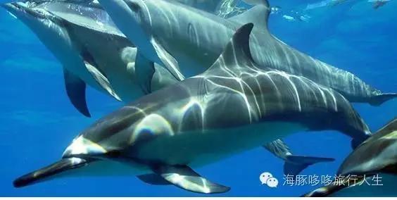 原来星球上还有这样的地方——哆哆的自然地理课！