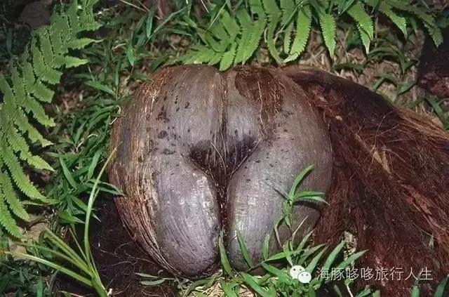 原来星球上还有这样的地方——哆哆的自然地理课！