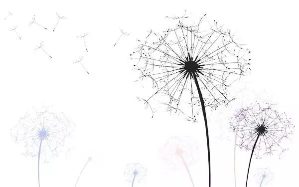 我们毕业啦成长纪念册,我们毕业啦片段